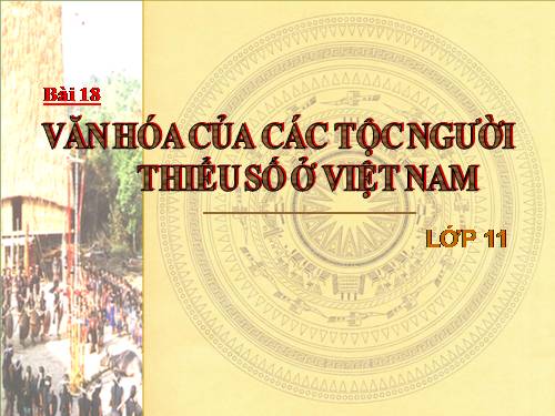 Văn hoá các tộc người thiểu số