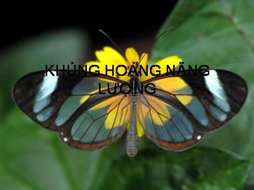 Khủng hoảng năng lượng