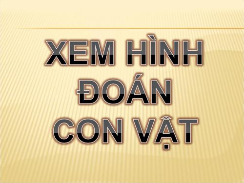 xem hình đoán tên(CLB SỬ)