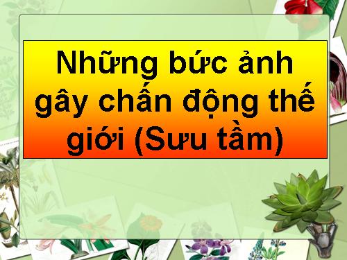 NHỮNG BỨC ẢNH CHẤN ĐỘNG THẾ GIỚI