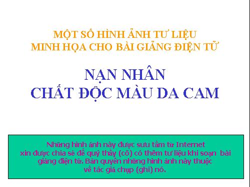 Nạn nhân chất độc da cam