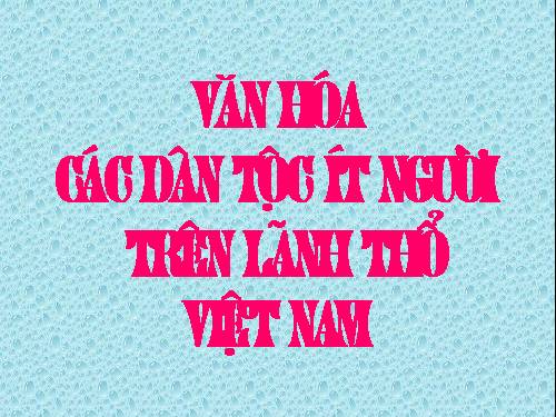 Văn hóa các dân tộc trên lãnh thổ Việt Nam