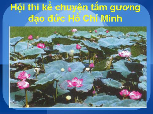 câu hỏi phụ