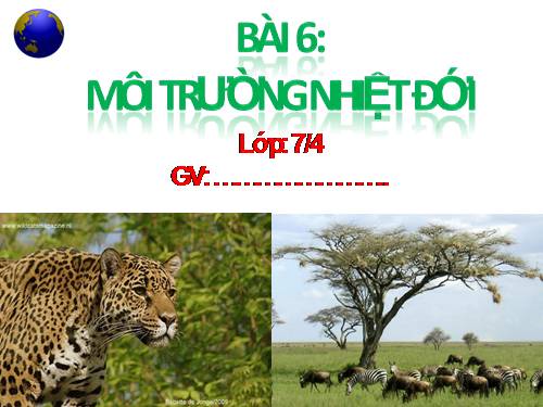 Bài 6. Môi trường nhiệt đới