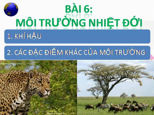 Bài 6. Môi trường nhiệt đới