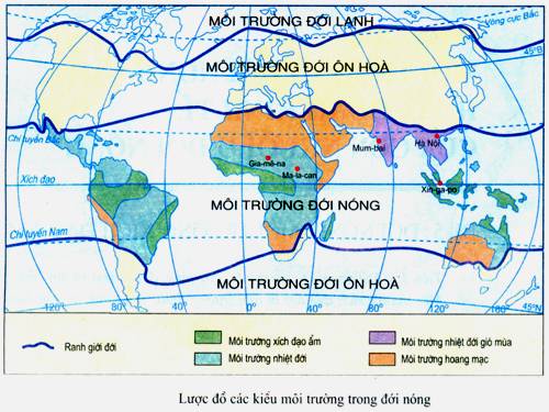 Bài 5. Đới nóng. Môi trường xích đạo ẩm