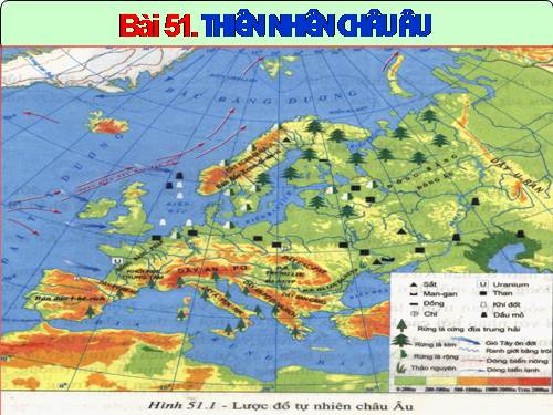 Bài 52. Thiên nhiên châu Âu (Tiếp theo)