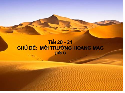 Bài 19. Môi trường hoang mạc