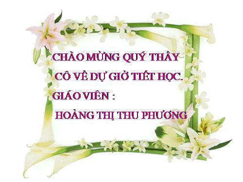 Bài 41. Thiên nhiên Trung và Nam Mĩ