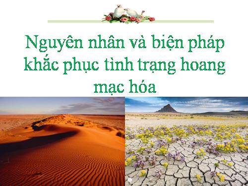 Bài 20. Hoạt động kinh tế của con người ở hoang mạc