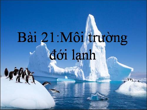 Bài 21. Môi trường đới lạnh