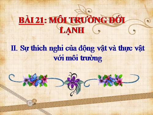 Bài 21. Môi trường đới lạnh