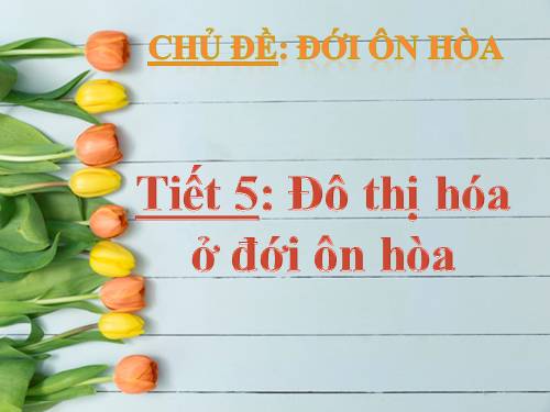 Bài 16. Đô thị hóa ở đới ôn hòa