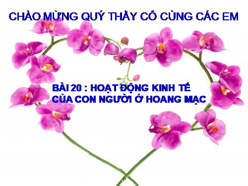 Bài 20. Hoạt động kinh tế của con người ở hoang mạc