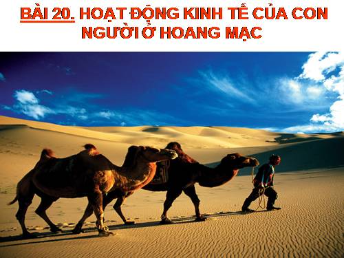 Bài 20. Hoạt động kinh tế của con người ở hoang mạc