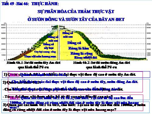 Bài 46. Thực hành: Sự phân hoá của thảm thực vật ở sườn đông và sườn tây của dãy núi An-đet