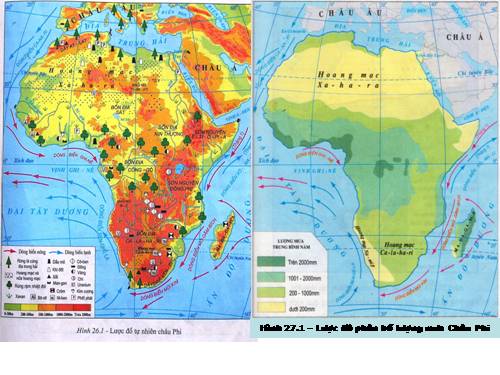 Bài 27. Thiên nhiên châu Phi (tiếp theo)