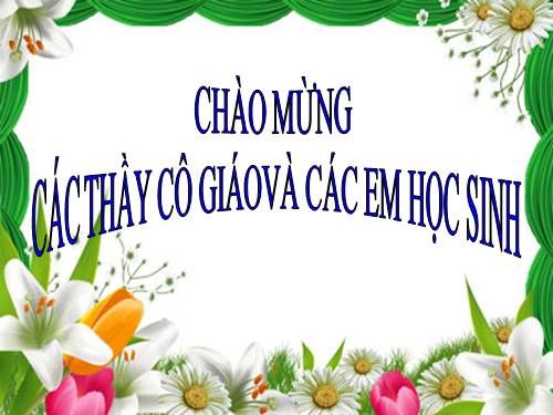 Bài 19. Môi trường hoang mạc