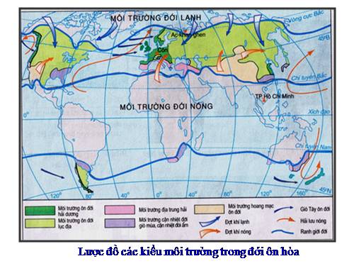 Bài 13. Môi trường đới ôn hòa