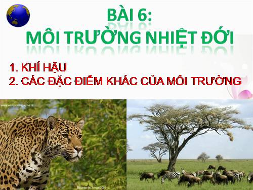 Bài 6. Môi trường nhiệt đới