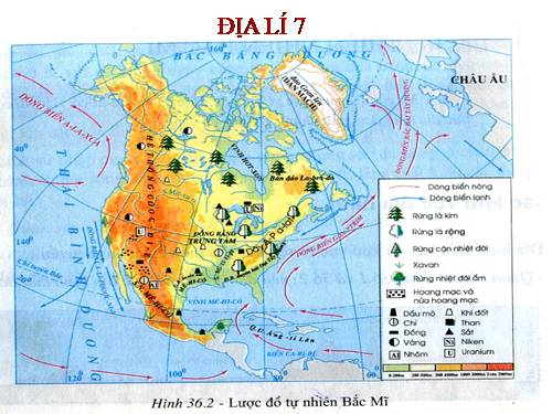 Bài 38. Kinh tế Bắc Mĩ