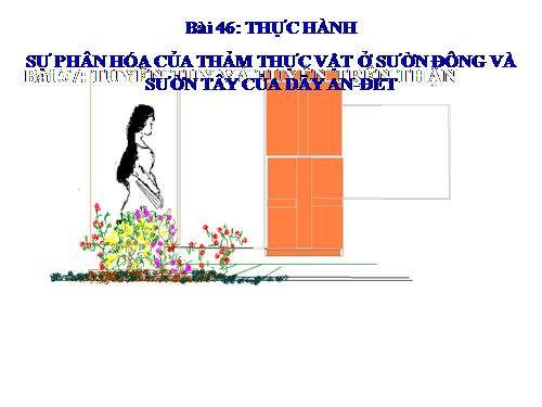 Bài 46. Thực hành: Sự phân hoá của thảm thực vật ở sườn đông và sườn tây của dãy núi An-đet