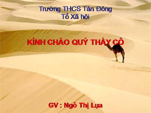 Bài 19. Môi trường hoang mạc