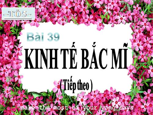 Bài 39. Kinh tế Bắc Mĩ (Tiếp theo)