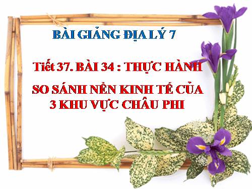 Bài 34. Thực hành: So sánh nền kinh tế của ba khu vực châu Phi