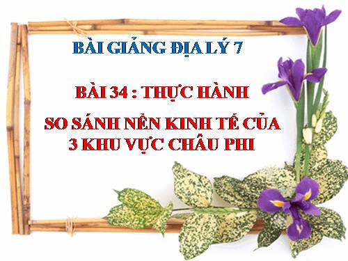 Bài 34. Thực hành: So sánh nền kinh tế của ba khu vực châu Phi