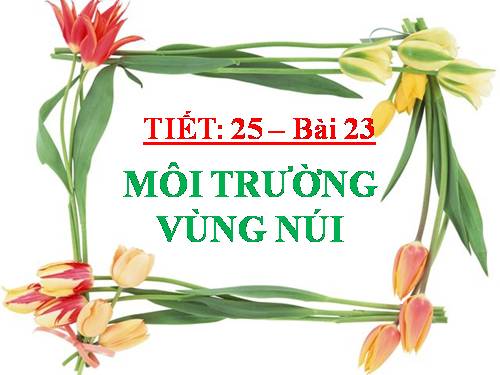 Bài 23. Môi trường vùng núi