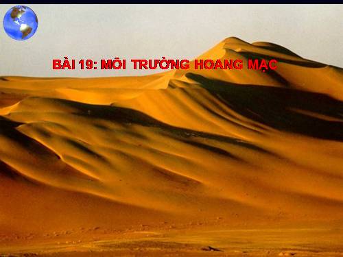 Bài 19. Môi trường hoang mạc