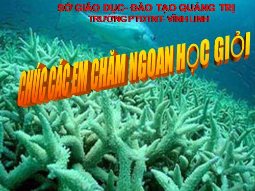 Bài 48. Thiên nhiên châu Đại Dương