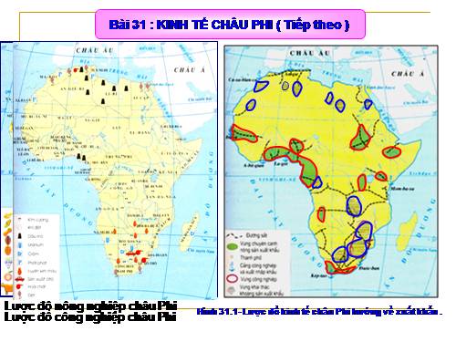 Bài 31. Kinh tế châu Phi (tiếp theo)