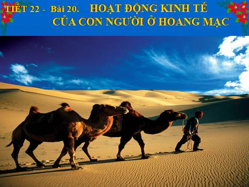 Bài 20. Hoạt động kinh tế của con người ở hoang mạc