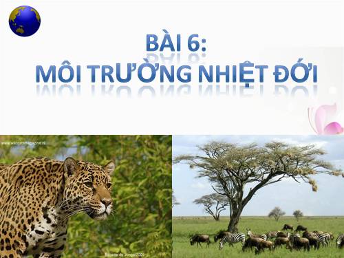 Bài 6. Môi trường nhiệt đới