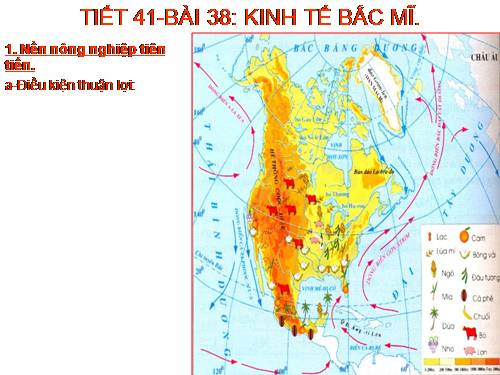 Bài 38. Kinh tế Bắc Mĩ