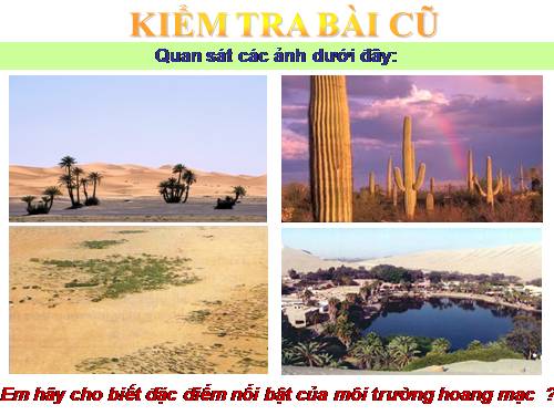 Bài 20. Hoạt động kinh tế của con người ở hoang mạc