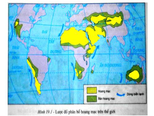 Bài 19. Môi trường hoang mạc