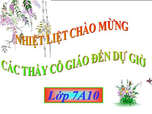 Bài 23. Môi trường vùng núi