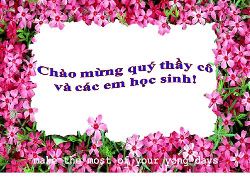 Bài 17. Ô nhiễm môi trường ở đới ôn hòa