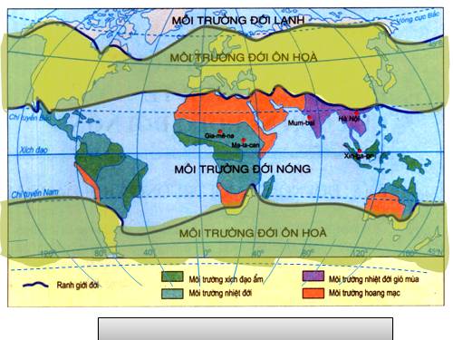 Bài 13. Môi trường đới ôn hòa