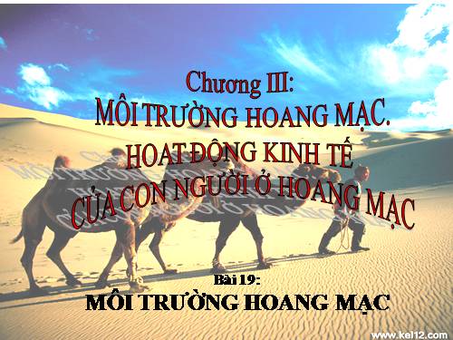 Bài 19. Môi trường hoang mạc