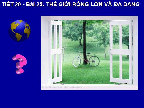 Bài 25. Thế giới rộng lớn và đa dạng