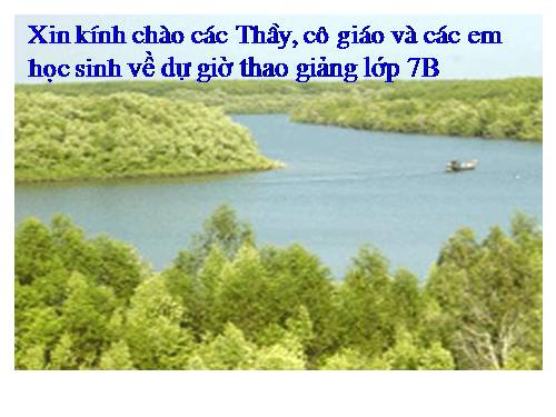 Bài 5. Đới nóng. Môi trường xích đạo ẩm