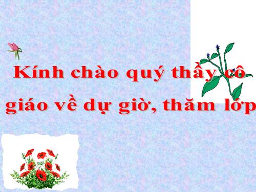 Bài 48. Thiên nhiên châu Đại Dương