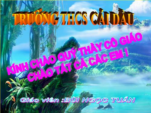 Bài 40. Thực hành: Tìm hiểu vùng công nghiệp truyền thống ở Đông Bắc Hoa Kì và vùng công nghiệp Vành đai Mặt Trời