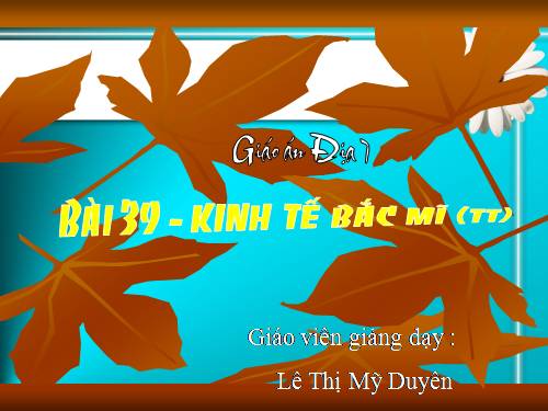 Bài 39. Kinh tế Bắc Mĩ (Tiếp theo)