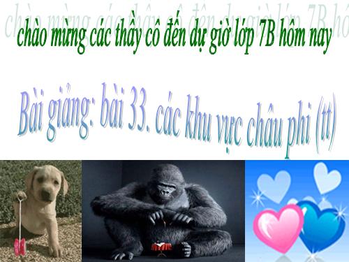 Bài 33. Các khu vực châu Phi (Tiếp theo)