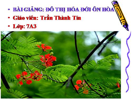 Bài 16. Đô thị hóa ở đới ôn hòa